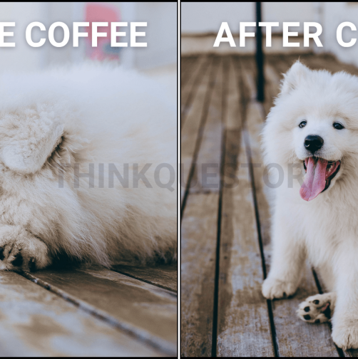 Coffee meme