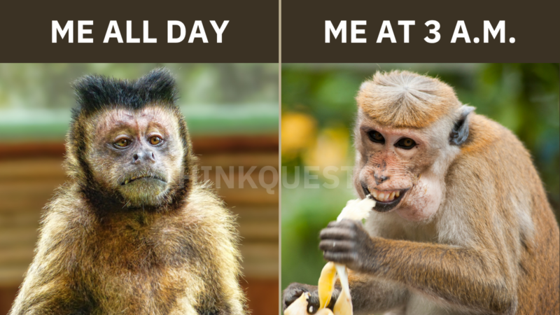 Monkey meme