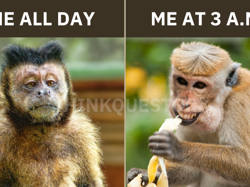 Monkey meme