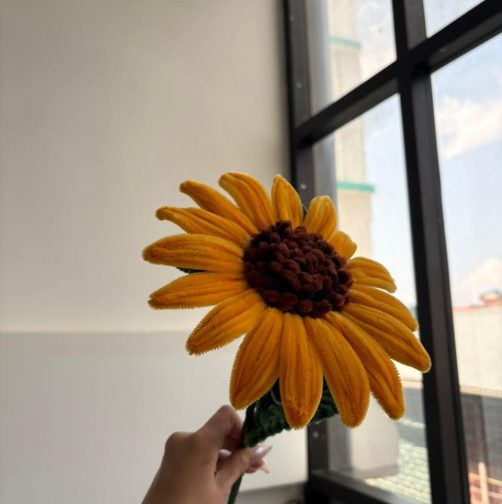 Sunflower for a complete day