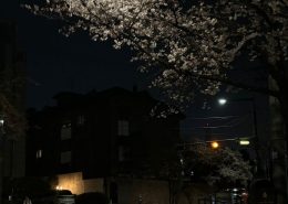 Night's like this❤️