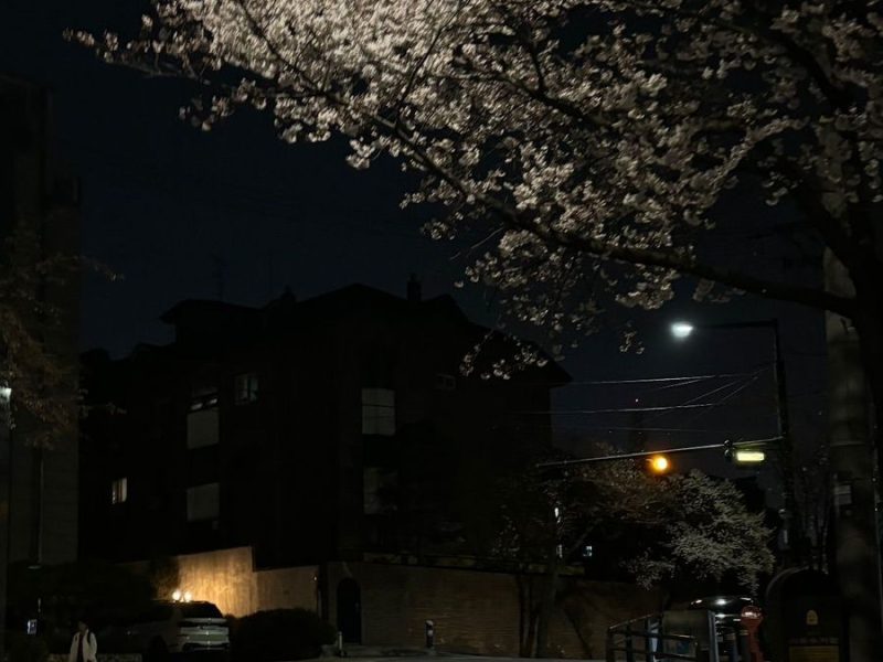 Night's like this❤️